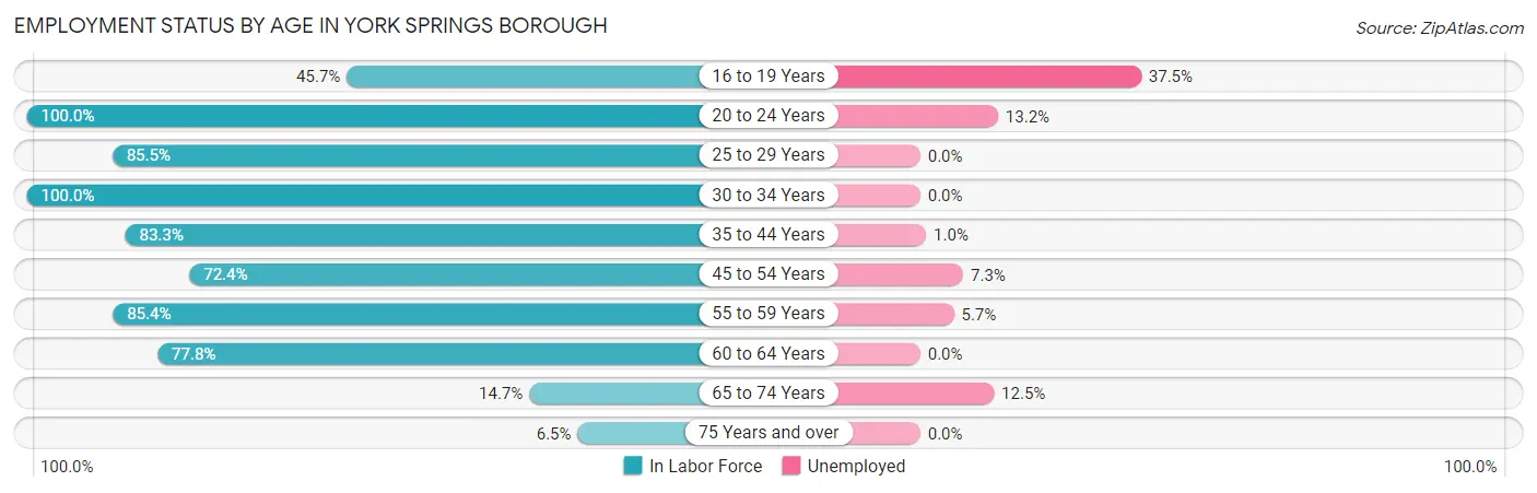 Employment Status by Age in York Springs borough