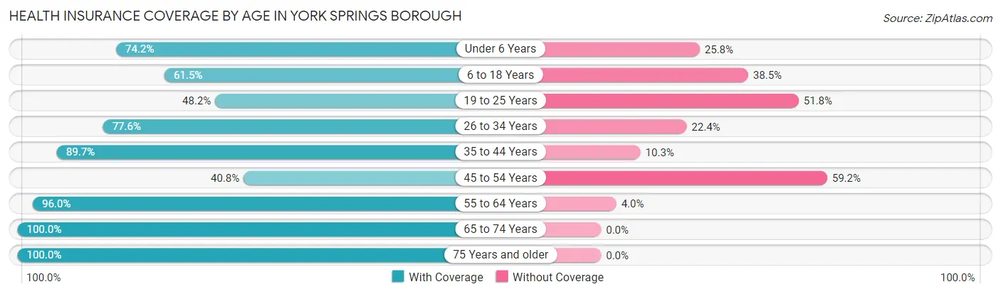 Health Insurance Coverage by Age in York Springs borough