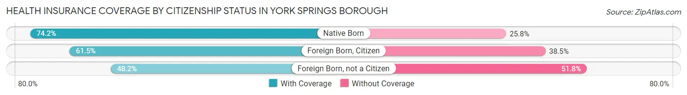 Health Insurance Coverage by Citizenship Status in York Springs borough