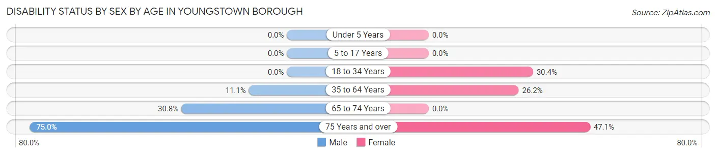 Disability Status by Sex by Age in Youngstown borough