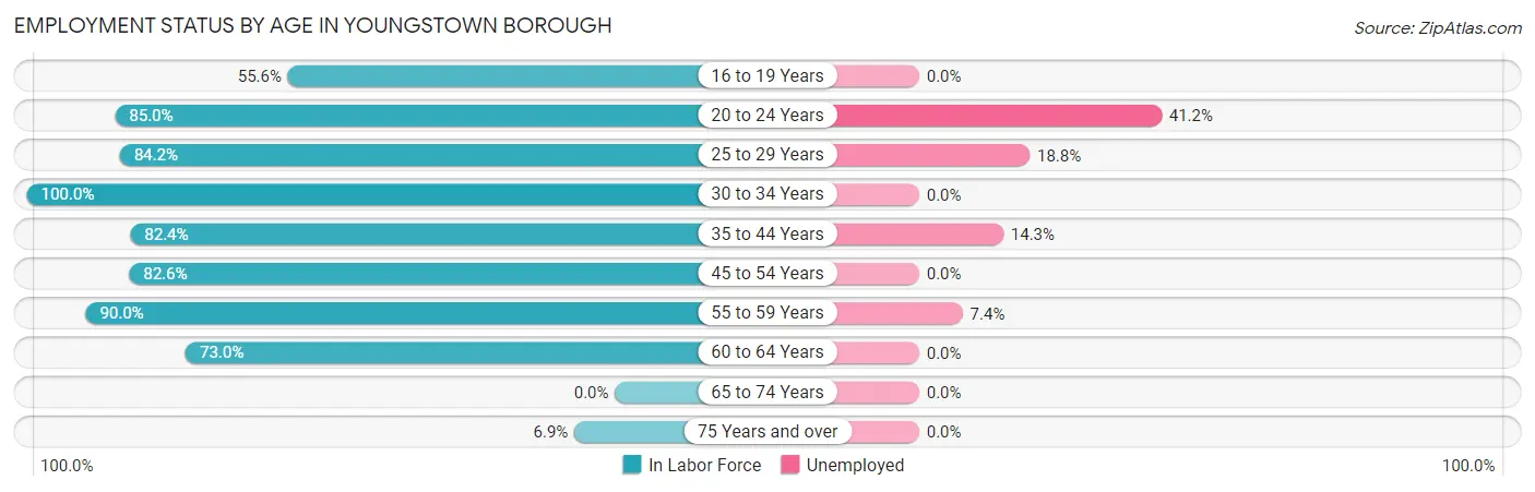 Employment Status by Age in Youngstown borough