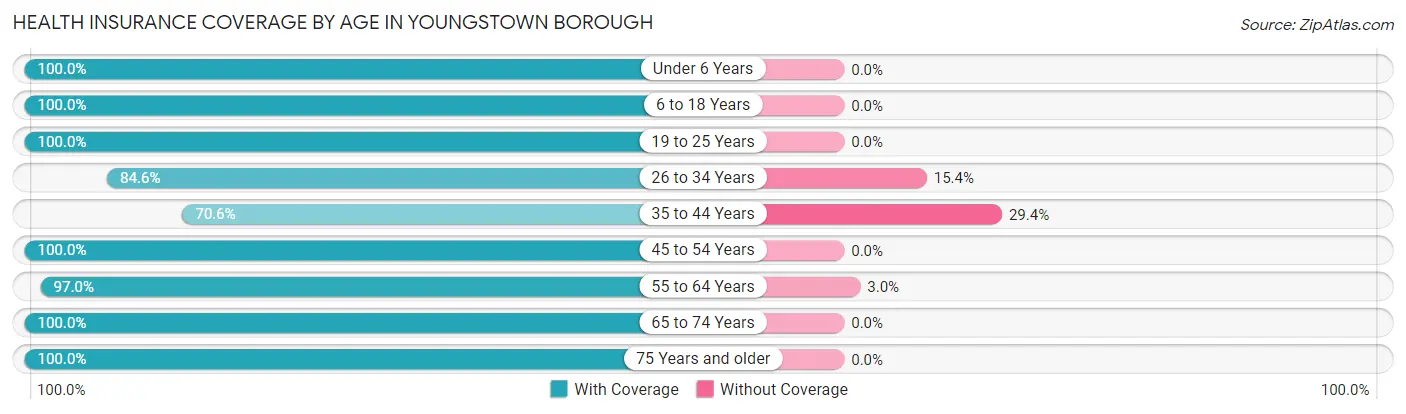 Health Insurance Coverage by Age in Youngstown borough