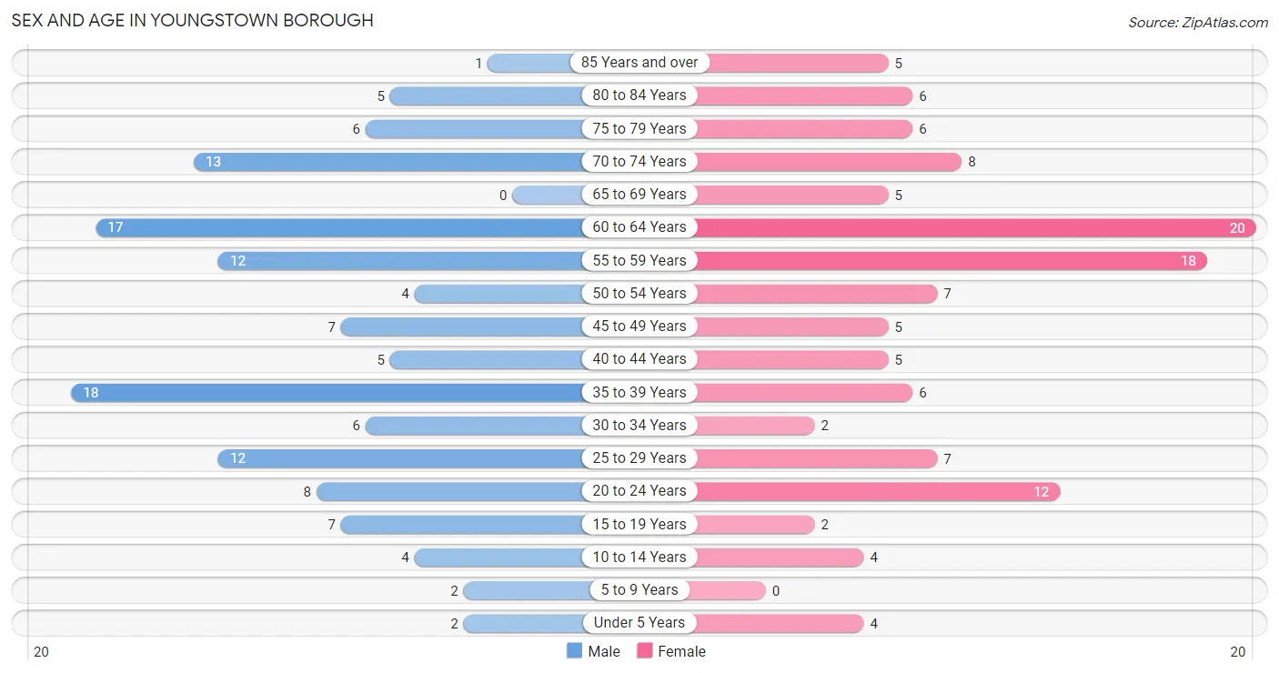 Sex and Age in Youngstown borough