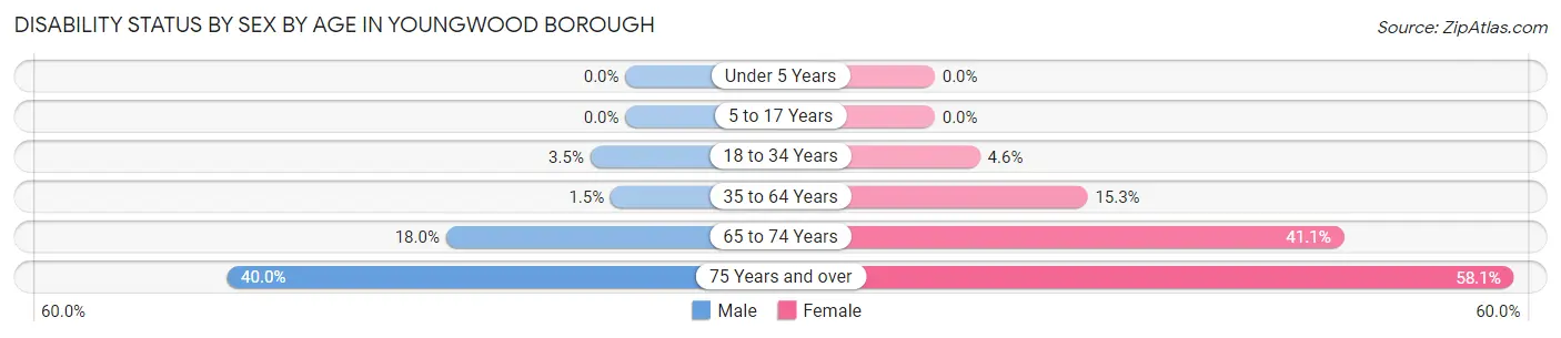 Disability Status by Sex by Age in Youngwood borough