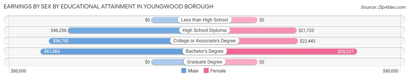 Earnings by Sex by Educational Attainment in Youngwood borough