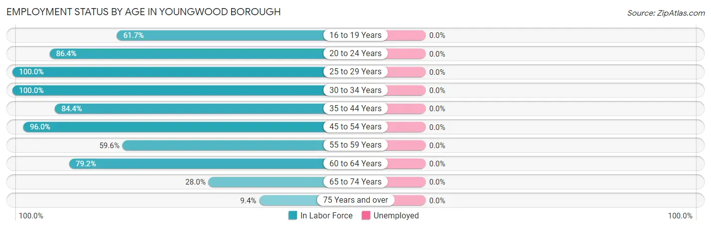 Employment Status by Age in Youngwood borough