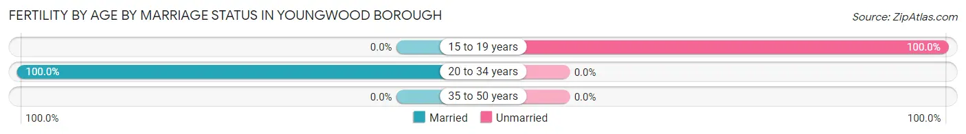 Female Fertility by Age by Marriage Status in Youngwood borough