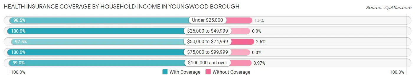 Health Insurance Coverage by Household Income in Youngwood borough