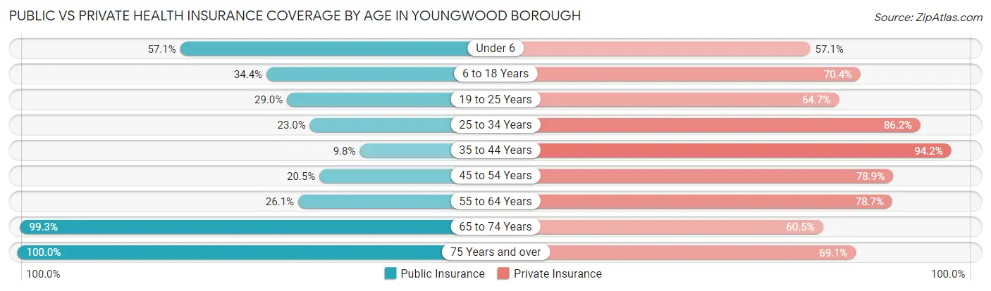 Public vs Private Health Insurance Coverage by Age in Youngwood borough