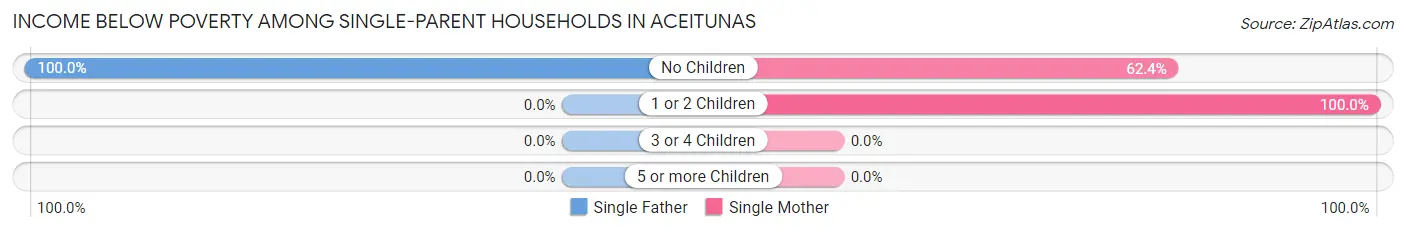 Income Below Poverty Among Single-Parent Households in Aceitunas