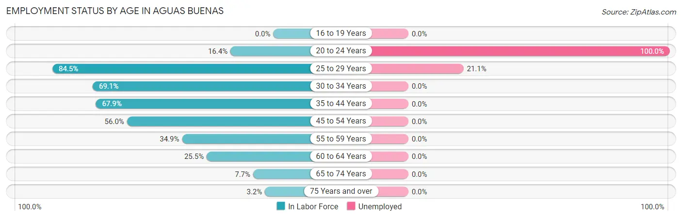 Employment Status by Age in Aguas Buenas