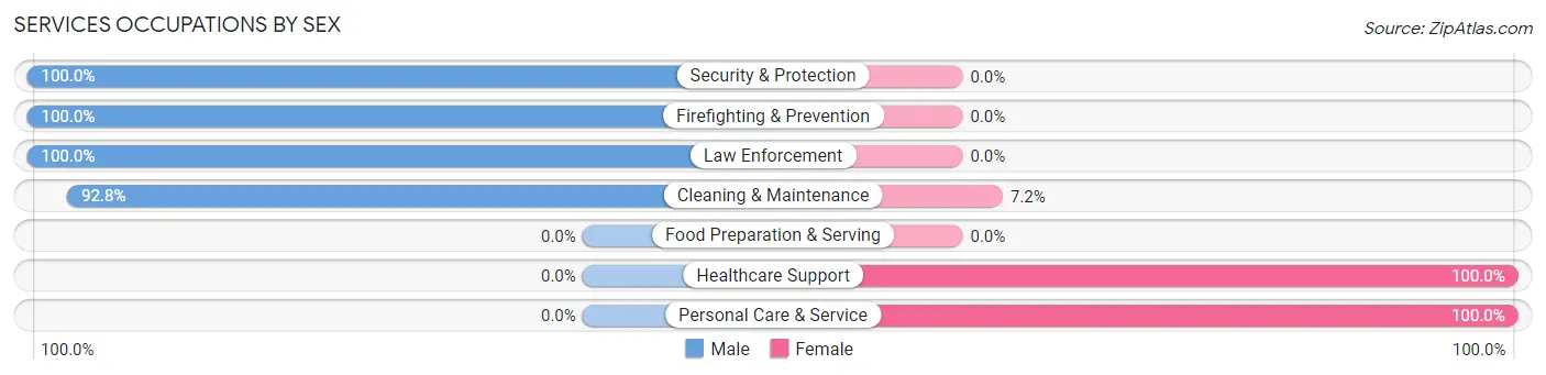 Services Occupations by Sex in Aguas Buenas