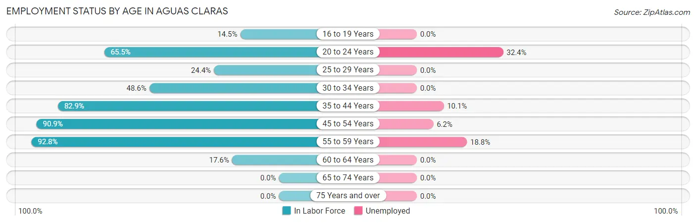 Employment Status by Age in Aguas Claras