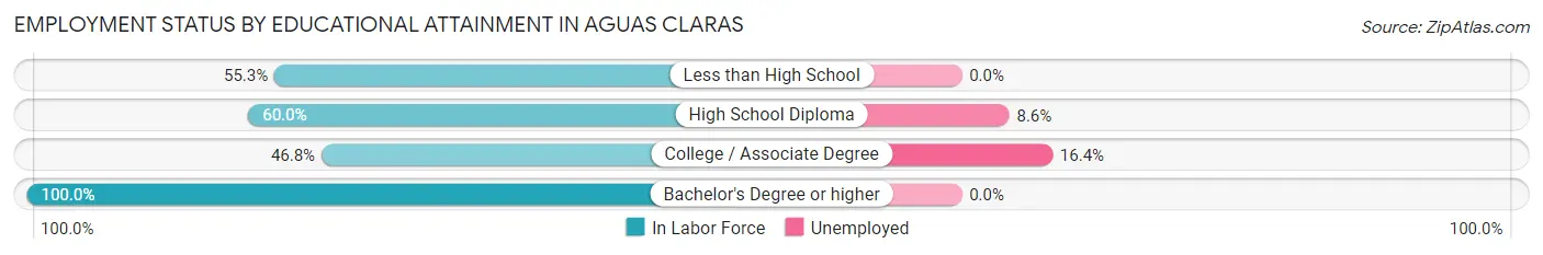 Employment Status by Educational Attainment in Aguas Claras