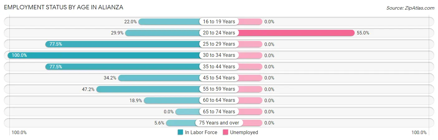 Employment Status by Age in Alianza