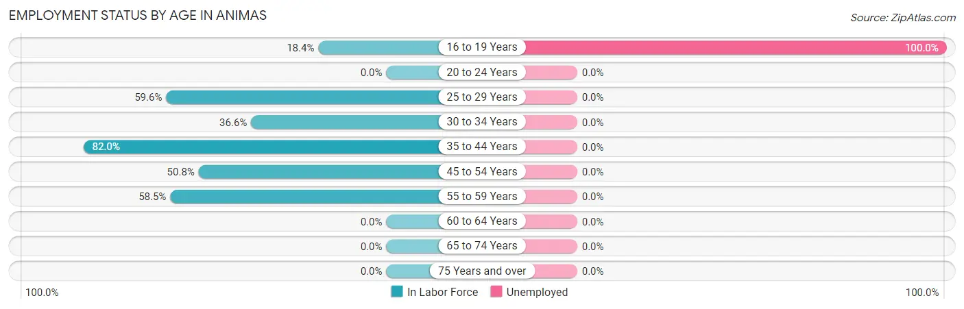 Employment Status by Age in Animas
