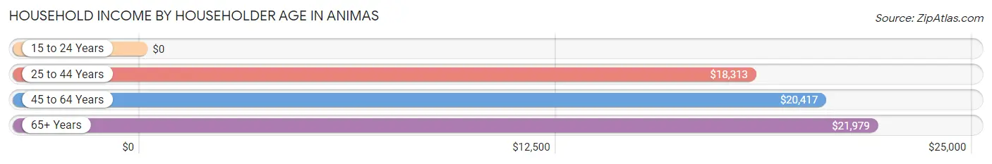 Household Income by Householder Age in Animas