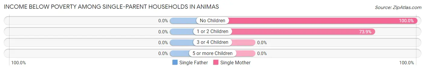 Income Below Poverty Among Single-Parent Households in Animas