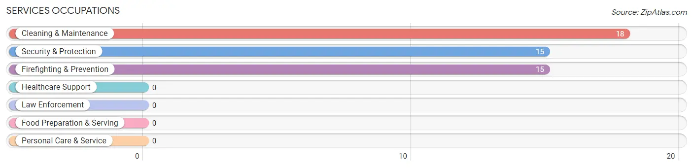 Services Occupations in Animas