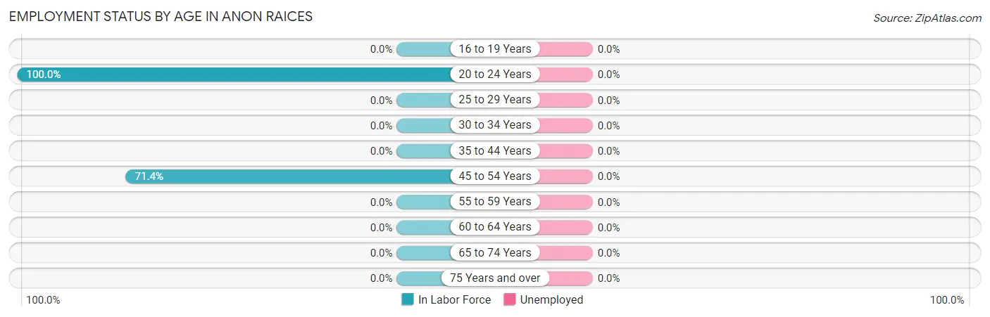 Employment Status by Age in Anon Raices