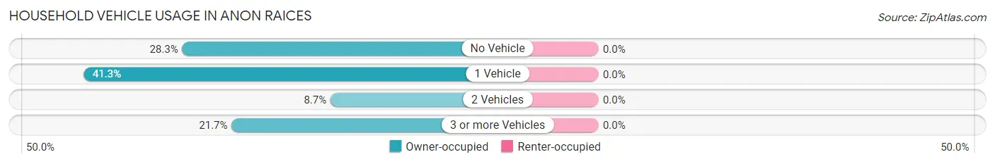 Household Vehicle Usage in Anon Raices