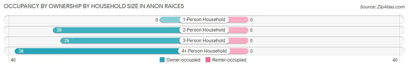Occupancy by Ownership by Household Size in Anon Raices