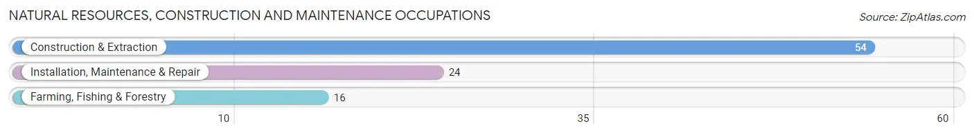 Natural Resources, Construction and Maintenance Occupations in Arroyo