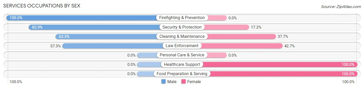 Services Occupations by Sex in Arroyo