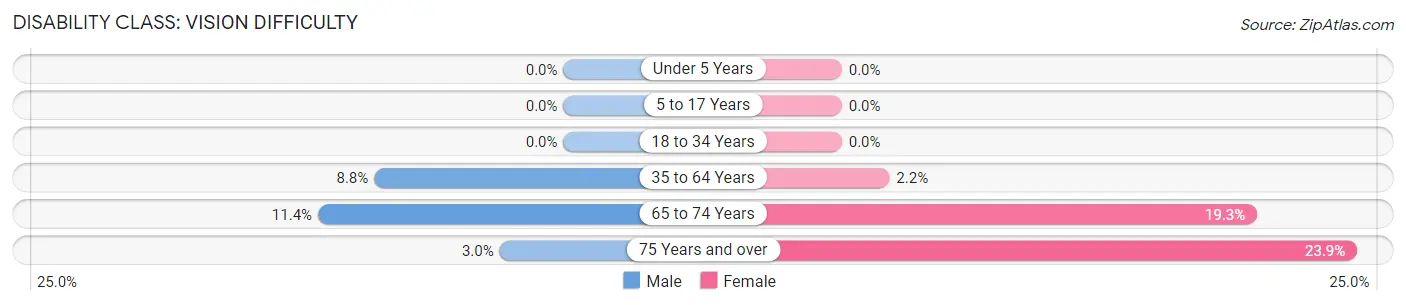 Disability in Arroyo: <span>Vision Difficulty</span>