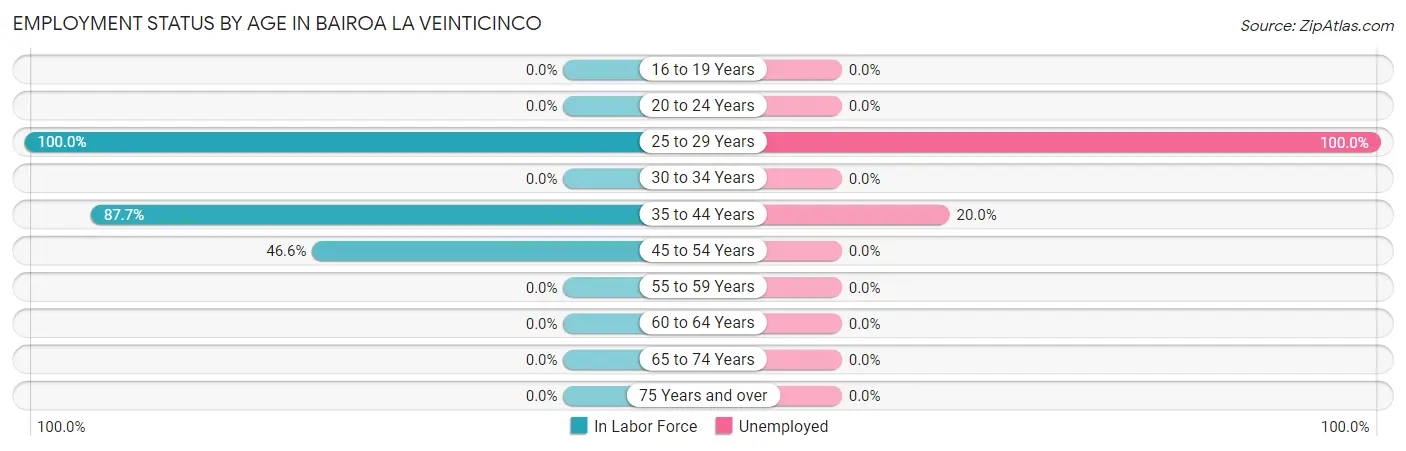 Employment Status by Age in Bairoa La Veinticinco