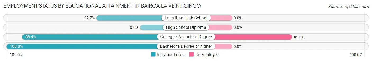 Employment Status by Educational Attainment in Bairoa La Veinticinco