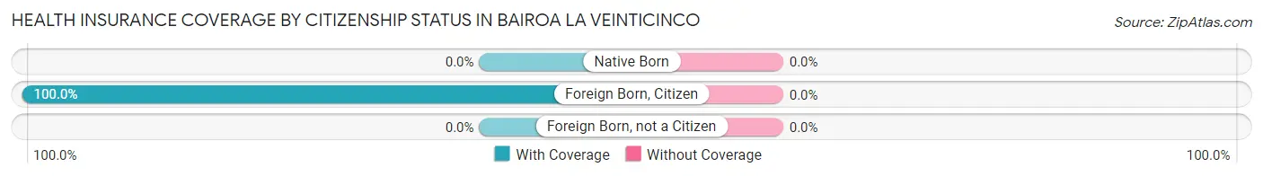 Health Insurance Coverage by Citizenship Status in Bairoa La Veinticinco