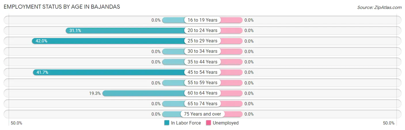 Employment Status by Age in Bajandas