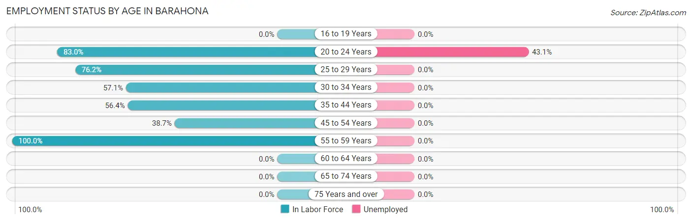 Employment Status by Age in Barahona