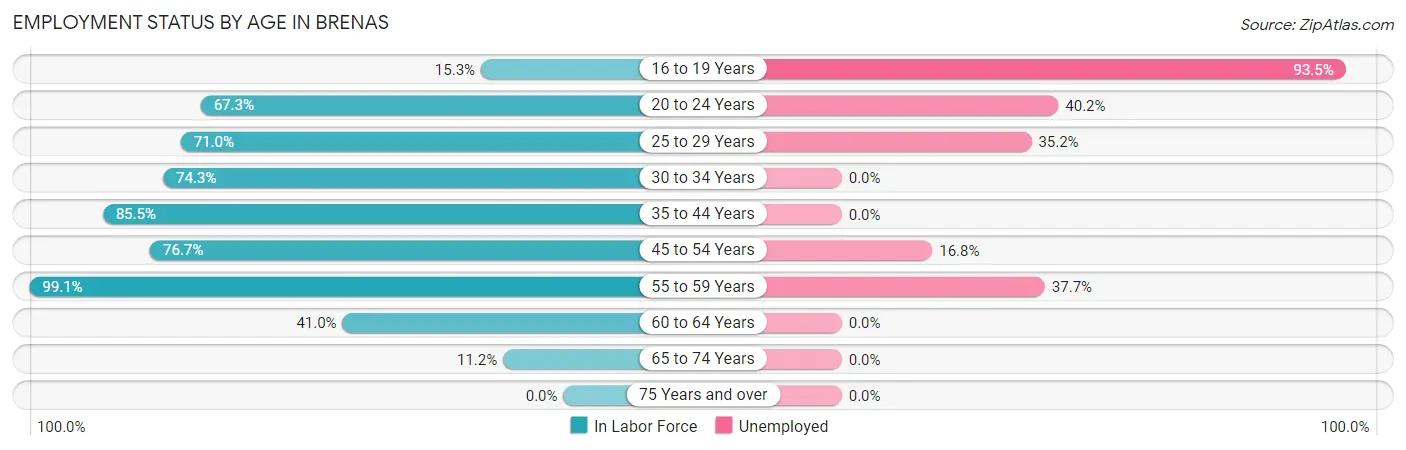 Employment Status by Age in Brenas
