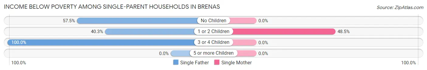 Income Below Poverty Among Single-Parent Households in Brenas
