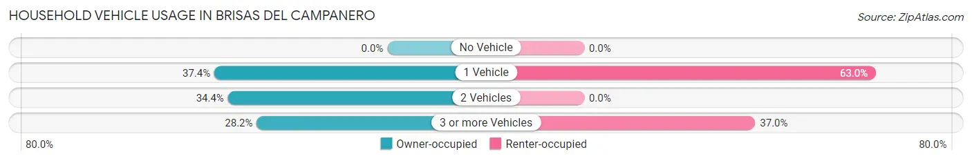 Household Vehicle Usage in Brisas del Campanero