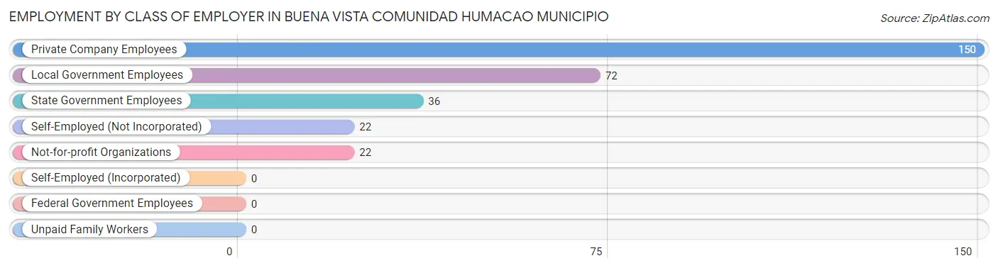 Employment by Class of Employer in Buena Vista comunidad Humacao Municipio
