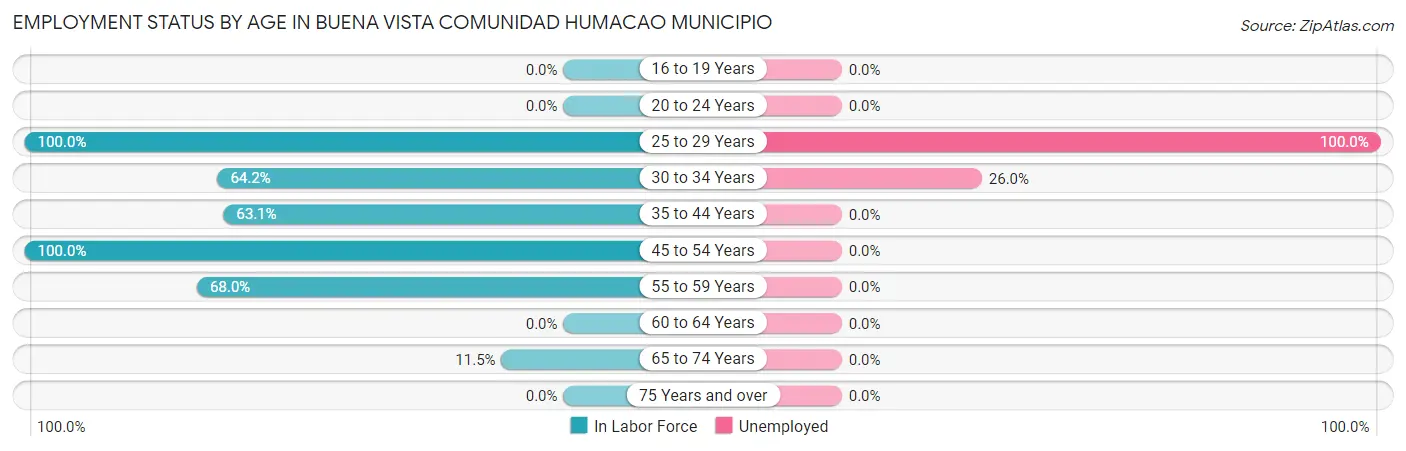 Employment Status by Age in Buena Vista comunidad Humacao Municipio