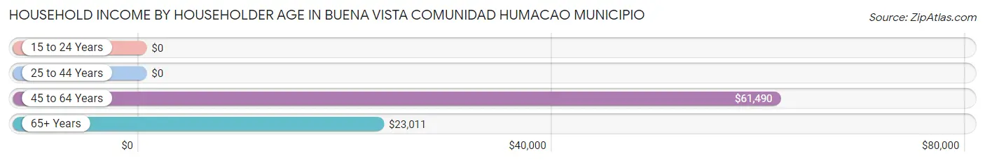 Household Income by Householder Age in Buena Vista comunidad Humacao Municipio