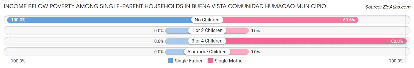 Income Below Poverty Among Single-Parent Households in Buena Vista comunidad Humacao Municipio