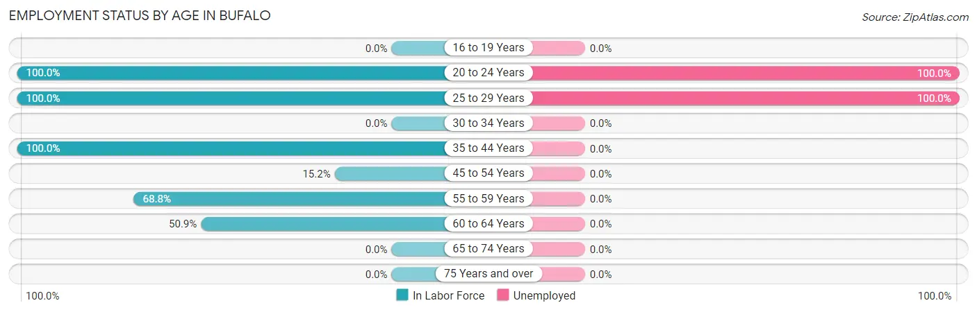 Employment Status by Age in Bufalo