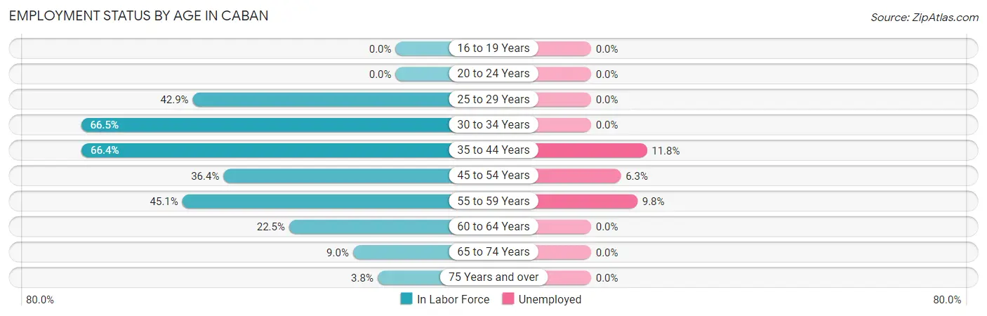 Employment Status by Age in Caban