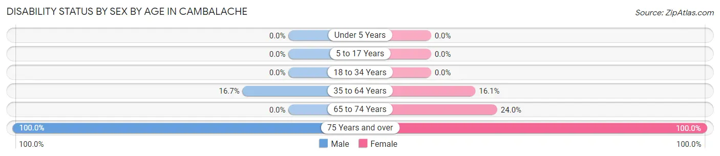Disability Status by Sex by Age in Cambalache