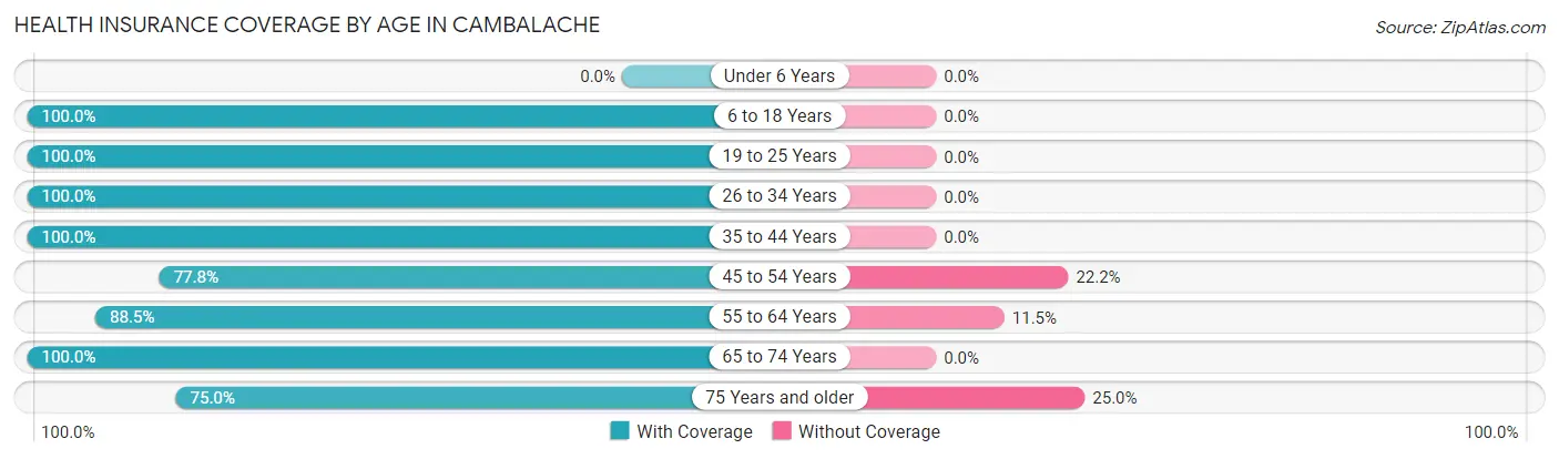 Health Insurance Coverage by Age in Cambalache