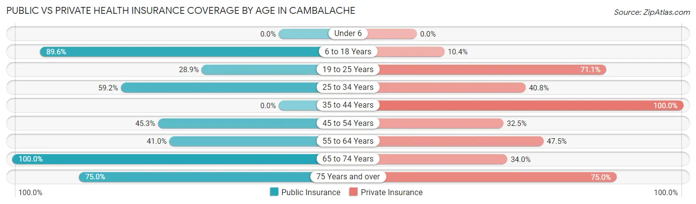 Public vs Private Health Insurance Coverage by Age in Cambalache