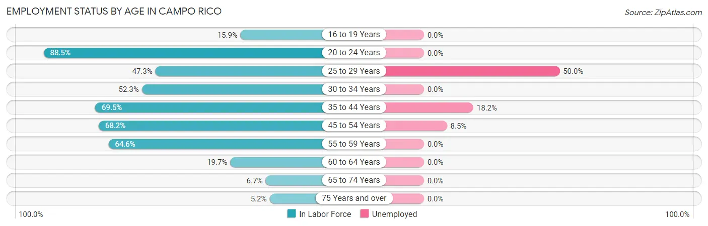 Employment Status by Age in Campo Rico