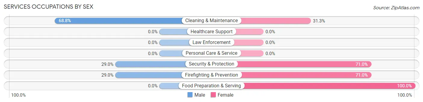 Services Occupations by Sex in Campo Rico