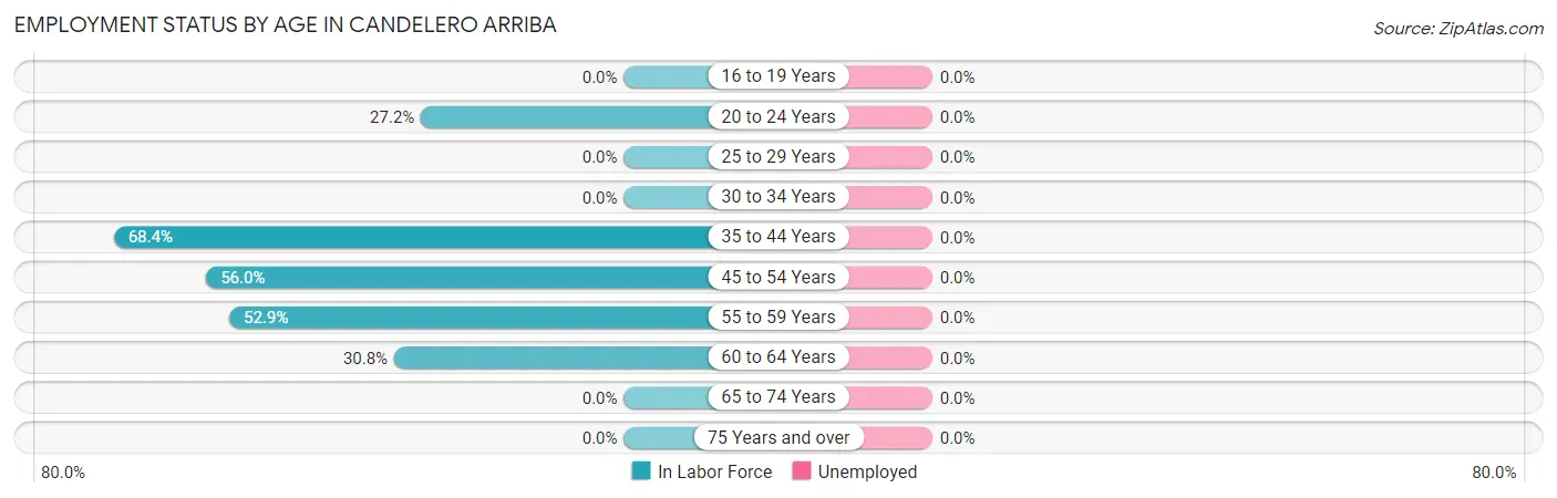 Employment Status by Age in Candelero Arriba