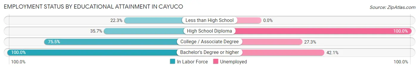 Employment Status by Educational Attainment in Cayuco